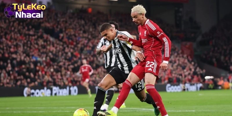 Newcastle vs Liverpool quyết tâm kiếm 3 điểm